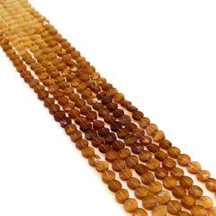 Hessonite Garnet Faceted Coin Beads 6mm