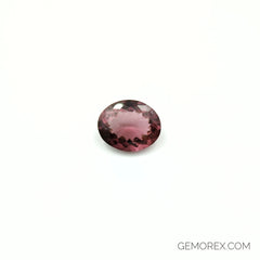 Pink Tourmaline Oval Faceted 7.26ct
