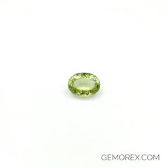 Green Tourmaline Oval Faceted 4.66ct
