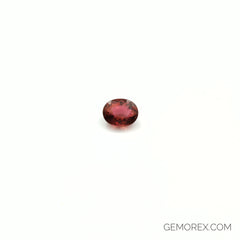 Red Tourmaline Oval Faceted 4.11ct
