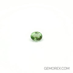 Green Tourmaline Oval Faceted 4.86ct