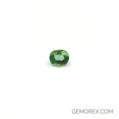 Mint Green Tourmaline Oval Faceted 4.89ct