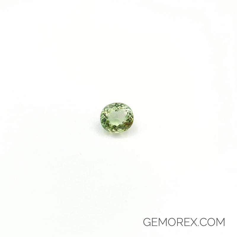 Green Tourmaline Oval Faceted 3.14ct