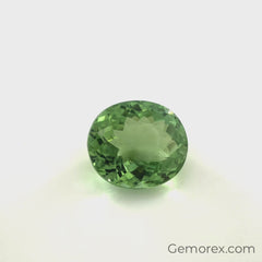 Mint Green Tourmaline Oval Faceted 2.85ct