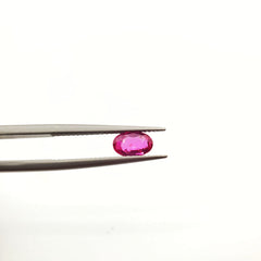 Mozambique Ruby Natural Unheated Oval 4.88 x 7.52 mm - Gemorex International Inc.