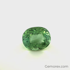 Mint Green Tourmaline Oval Faceted 4.89ct