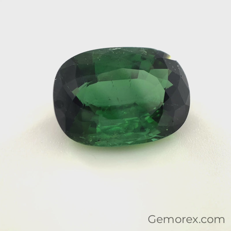 Green Tourmaline Oval Faceted 4.90ct