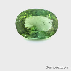 Green Tourmaline Oval Faceted 7.13ct