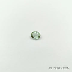 Mint Green Tourmaline Oval Faceted 2.98ct