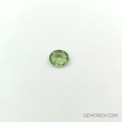 Mint Green Tourmaline Oval Faceted 3.30ct