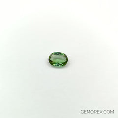 Mint Green Tourmaline Oval Faceted 2.68ct