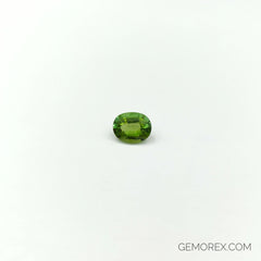 Mint Green Tourmaline Oval Faceted 2.42ct