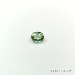 Mint Green Tourmaline Oval Faceted 3.23ct