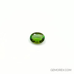Green Tourmaline Oval Faceted 5.03ct