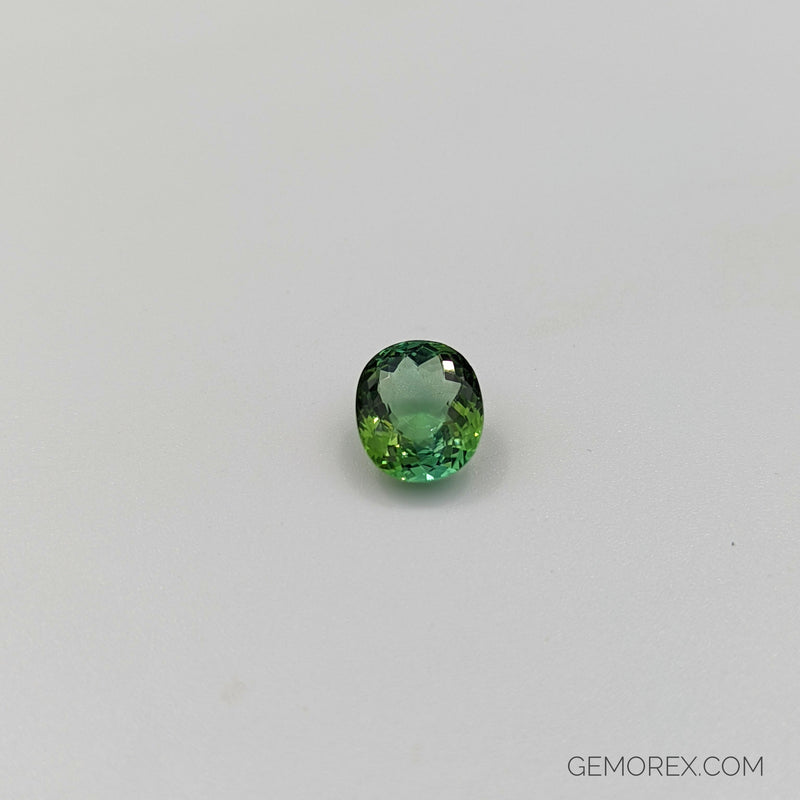 Green Tourmaline Oval Faceted 5.00ct