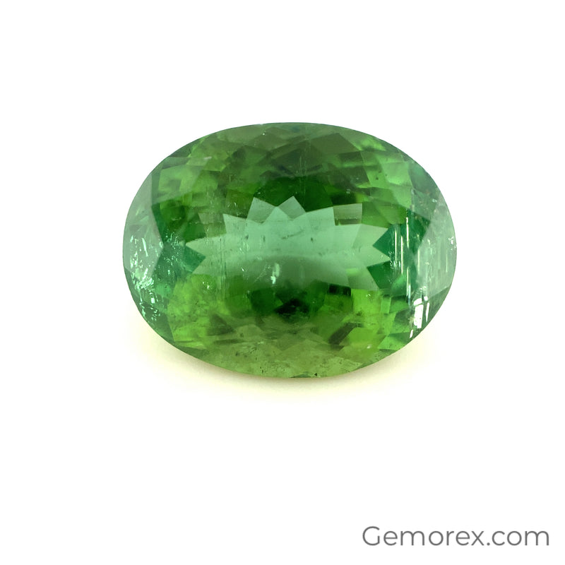 Teal Tourmaline Oval Faceted 9.40ct