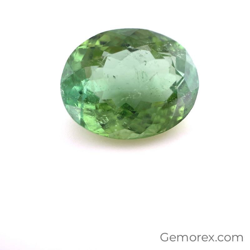 Green Tourmaline Oval Faceted 7.15ct