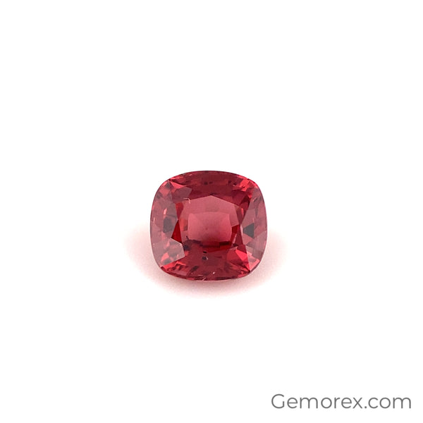 image_d3ecd1ce-4792-43b6-b8e6-