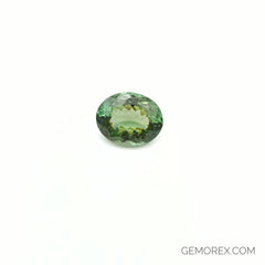 Mint Green Tourmaline Oval Faceted 14.89ct